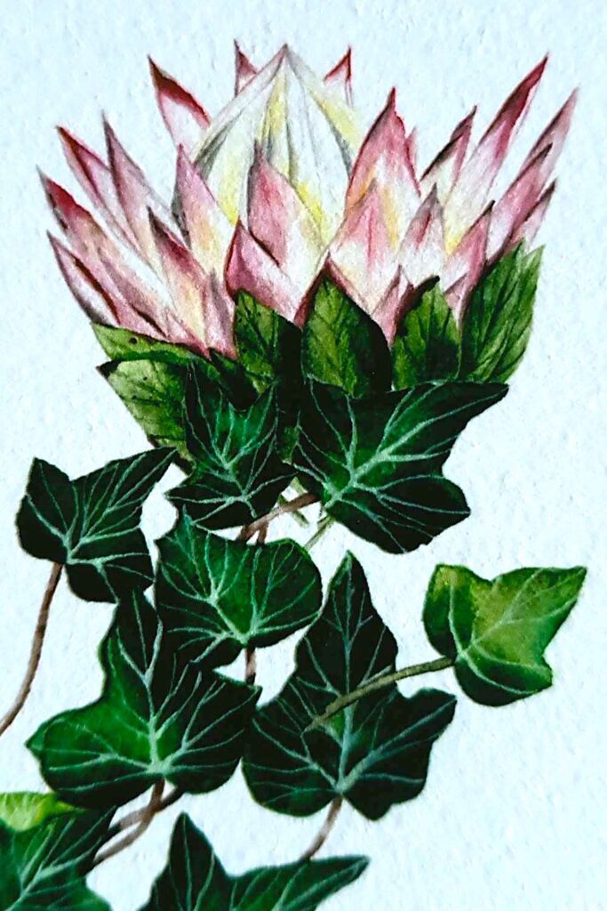Black tie anniversary invitations with protea floral watercolour card 